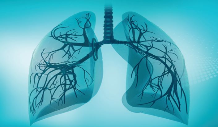 Interstitial Lung Disease: Diagnosis and Patient Management