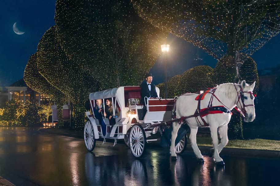 Gaylord Opryland carriage