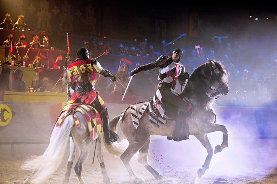 Knight Fight