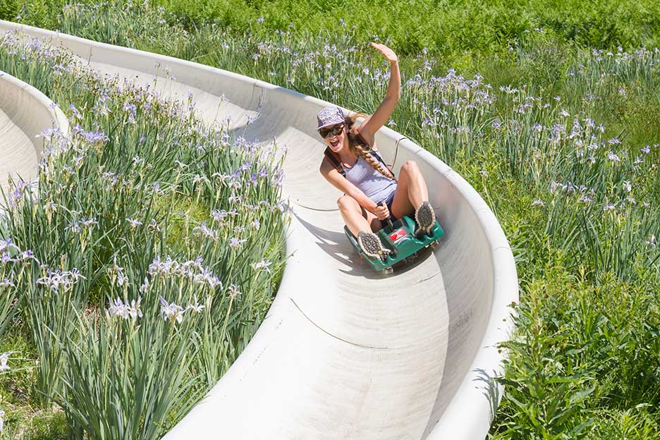 Snowbird resort mountain coaster