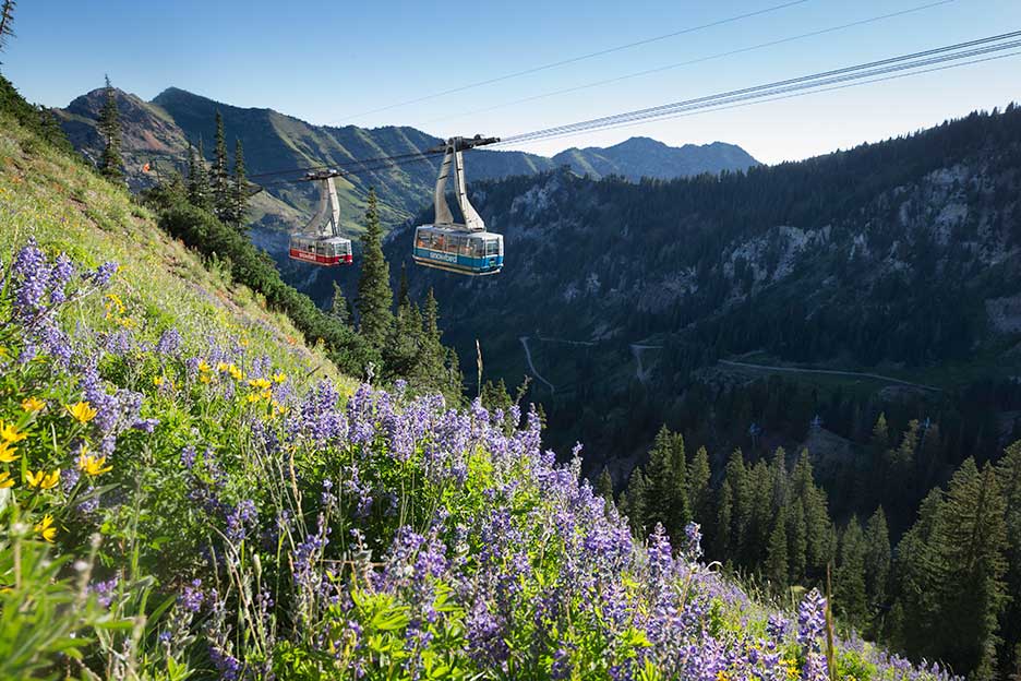 Snowbird trams