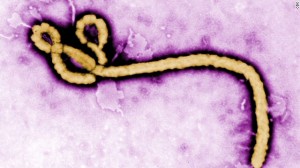 Ebola Resources for Respiratory Therapists Ebola