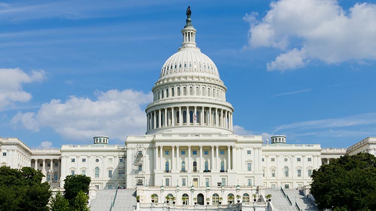 Image of the Capitol building in Washington D.C.