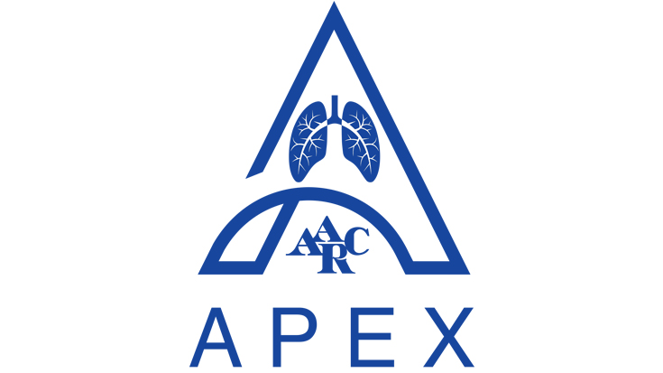 Apex logo on white background