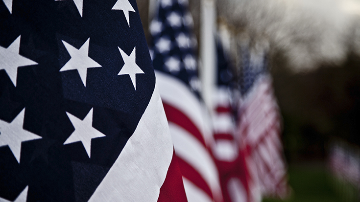 image of U.S. flags in row