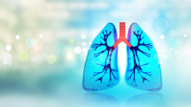 image of lungs with airy background