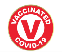 vaccine pin image