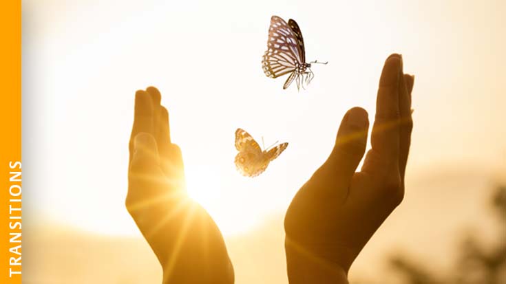 image of hands releasing butterflies