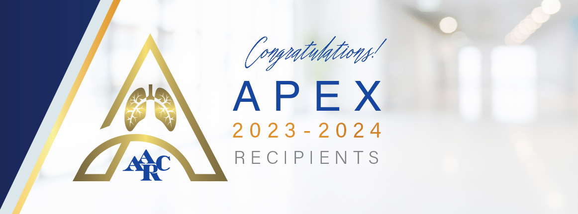 29 Organizations Receive the Distinguished Apex Award