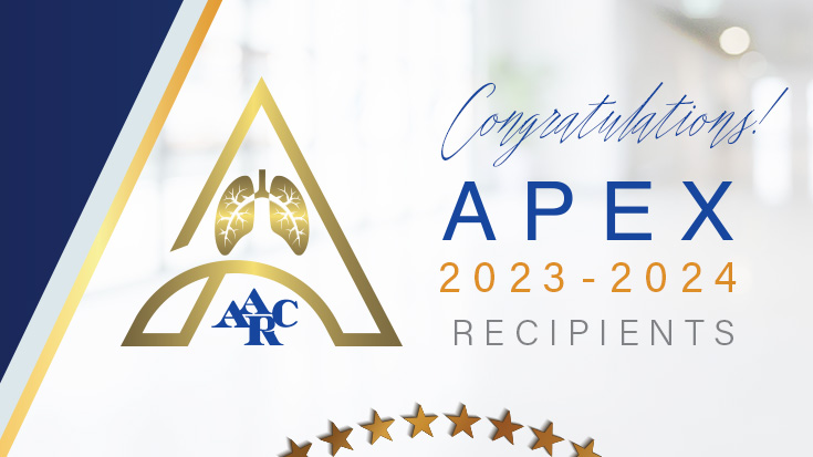 29 Organizations Receive the Distinguished Apex Award